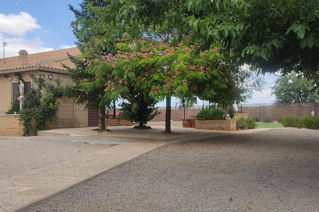 Finca El Pilar Madridejos Exterior photo